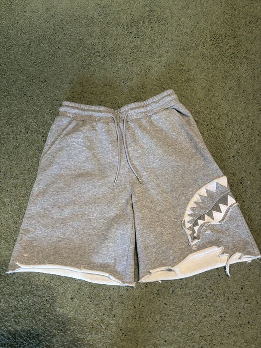 Шорти Spraygroud