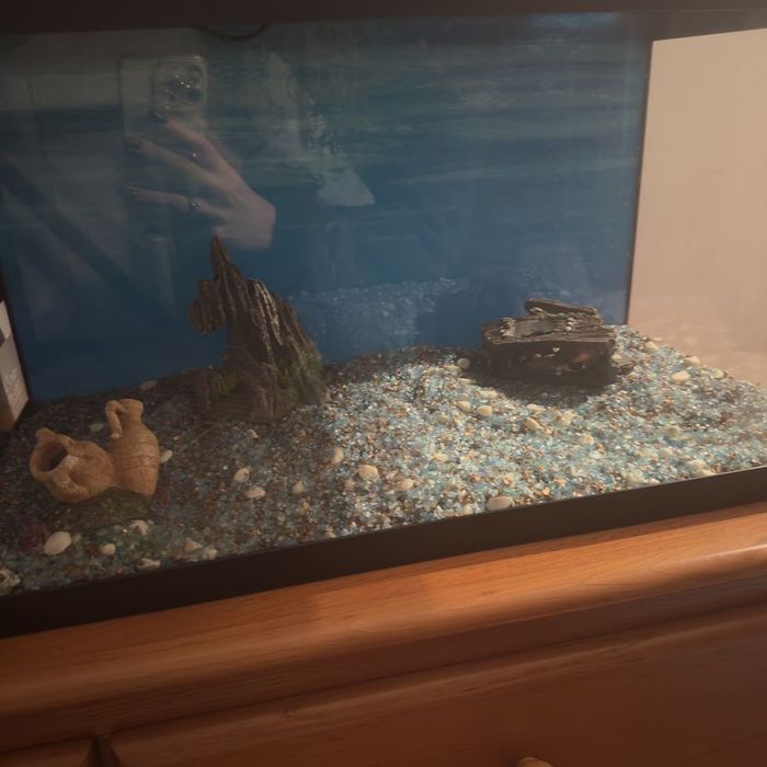 Aquário 70 litros
