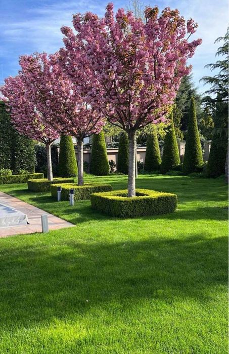 Особняк на 20-ти сотках! Закрытый кооператив! 11 ст.Б.Фонтана! 1A37