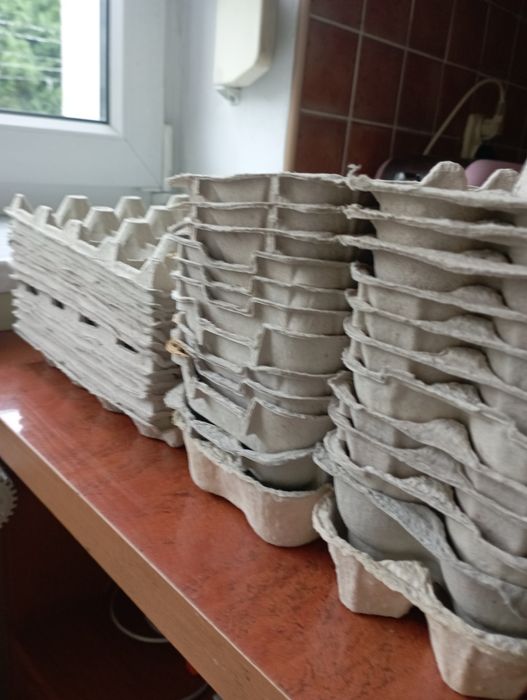 Wytlaczanki do jaj - 24 sztuki