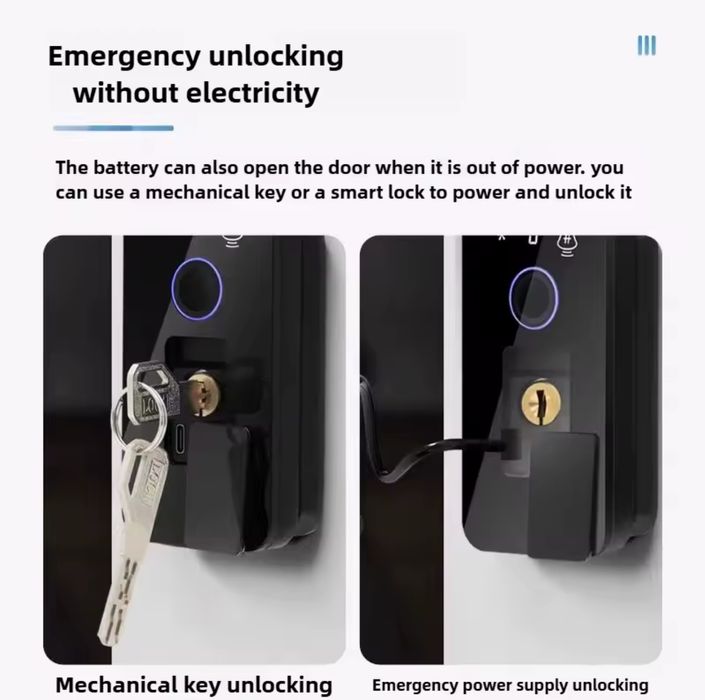 Tuya Замок з розпізнаванням обличчя на калітку забор двері офіс склад