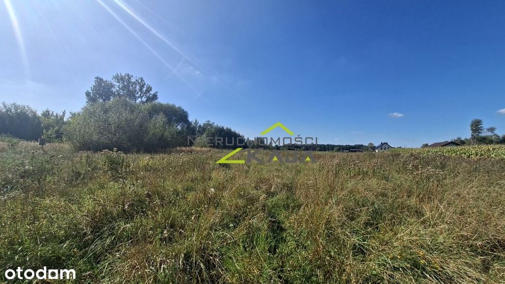 Działka w Zatoniu