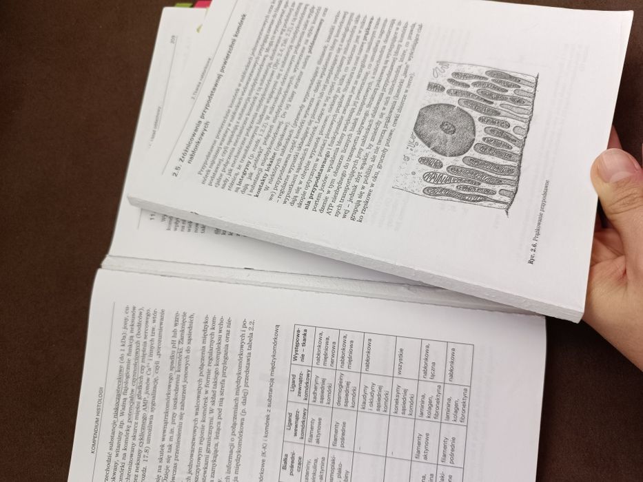 Histologia - kompendium UJ Cichocki