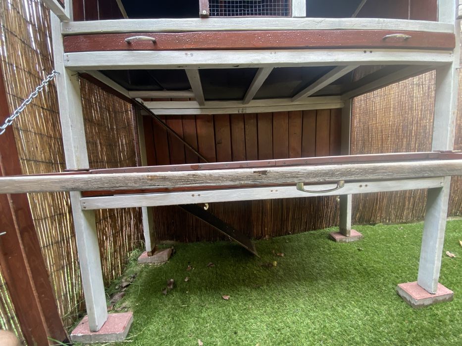 Klatka dębowa dla królika/szynszyla/świnki morskiej/gryzonia diy