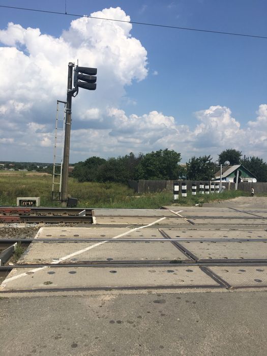 Ділянка землі 30 соток зі старими будинком в селі Пилиповичі