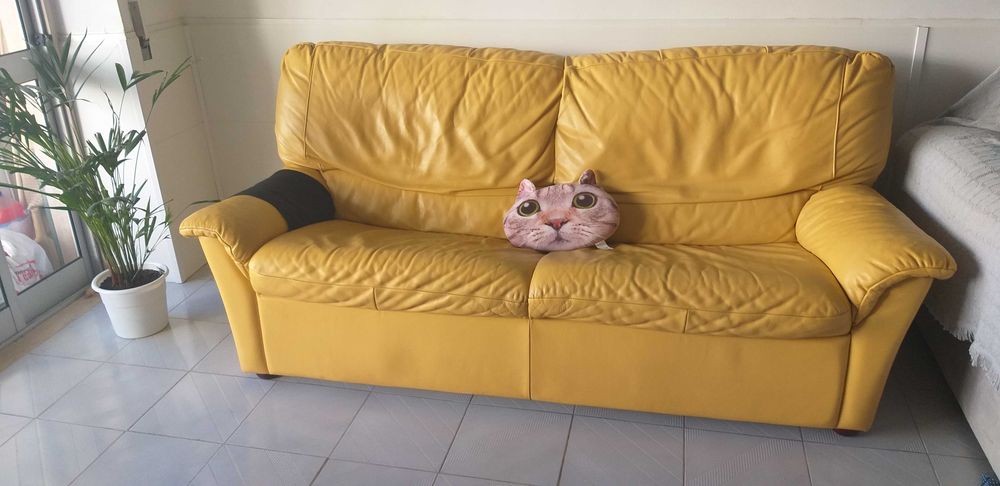 SOFÁ  EM PELE ,com 2 metros comprimento .