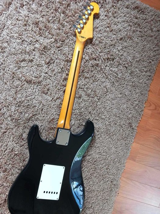 gitara washburn ws300