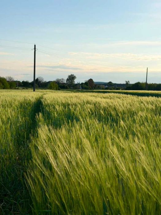 Продаж будинку с. Великі Млинівці
