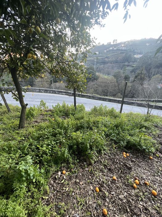 Casa Tradicional + Terreno