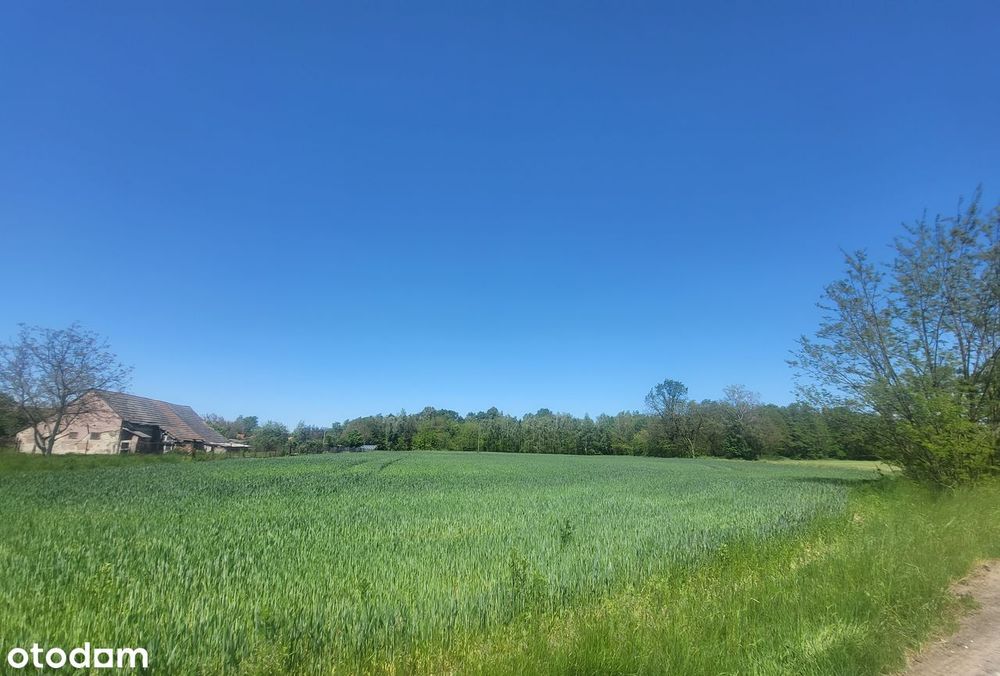 Sprzedam działkę rolno-budowlaną w Łęgu Tarnowskim