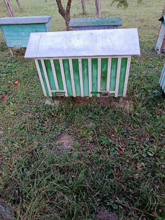 продам вулики з бжолами