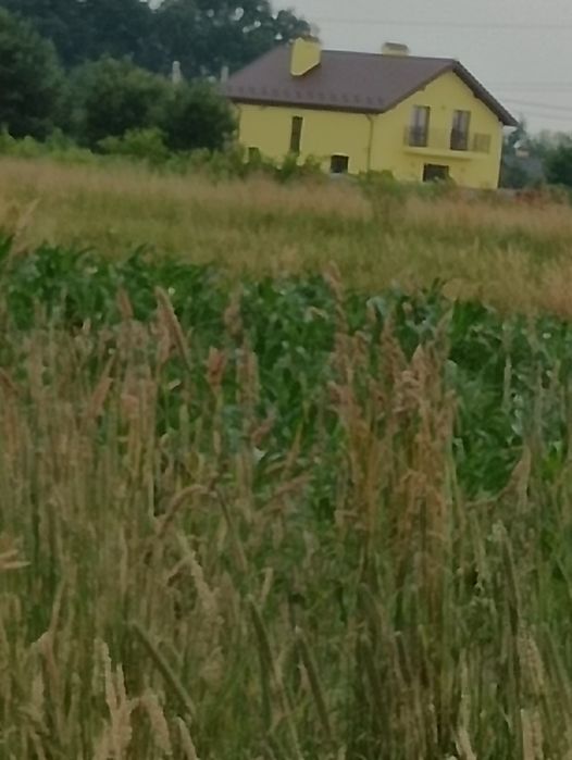 Земельна ділянка в с.Конопниця
