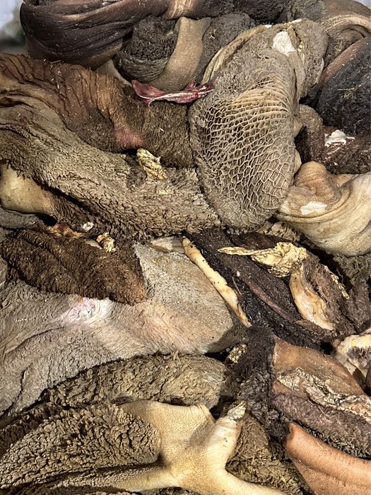 ВІННИЦЯ Продам яловичий рубець заморожений говяжий рубець