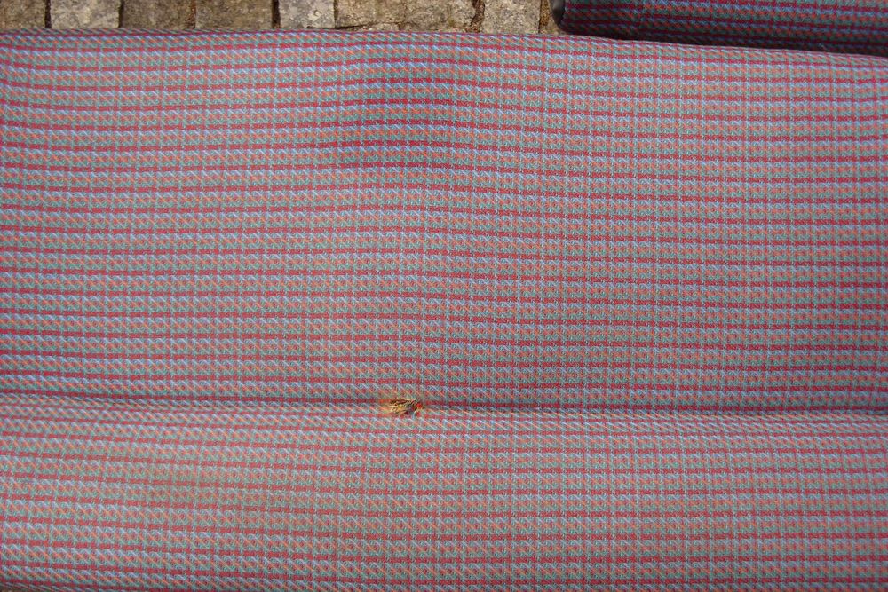 fotele Fiat 126p maluch elx