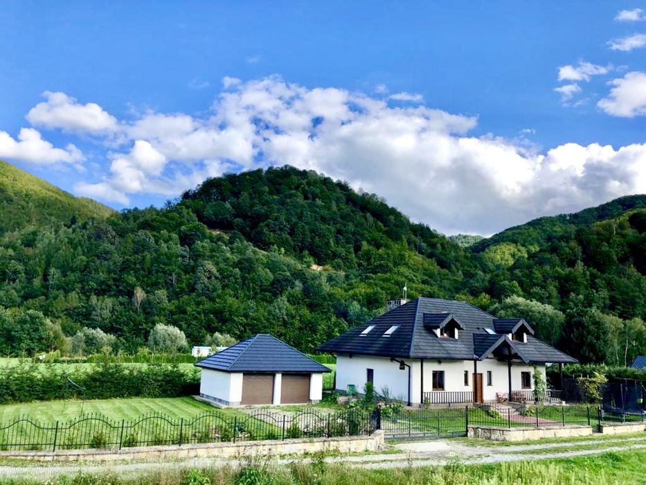 Willa Jagoda duży domek w górach 12 osób jacuzzi kominek bilard