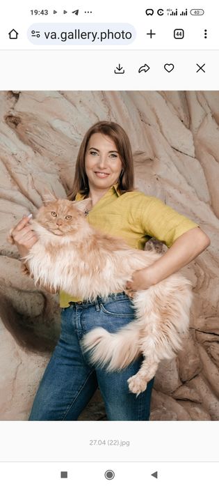 Мейн-кун для в'язки