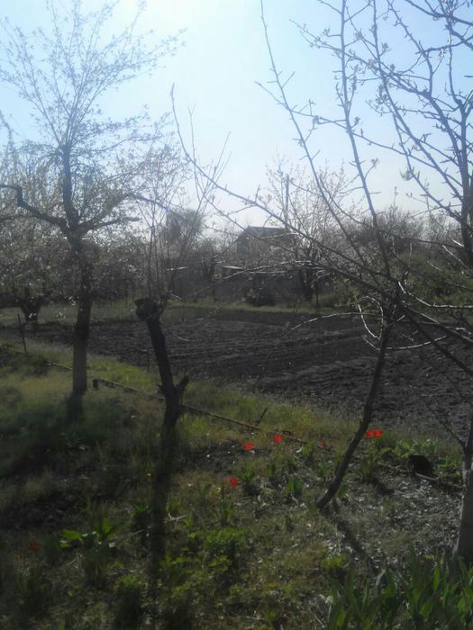 Продам земельный участок