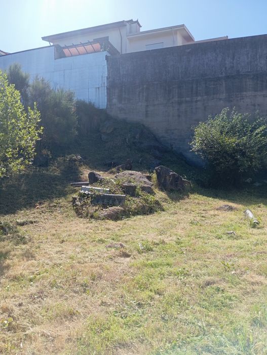 Limpeza de terrenos e venda de lenhas