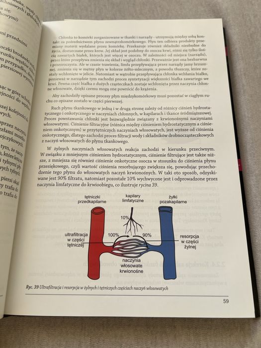 Fizjo Kinesjology Taping Śliwiński