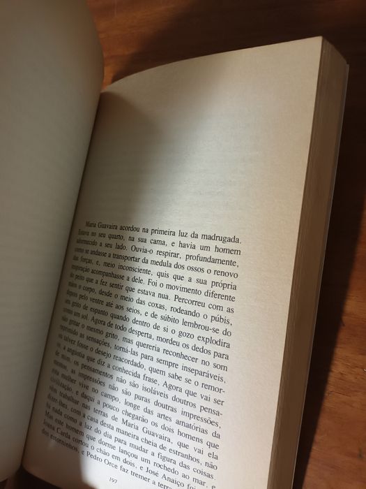 Livro José Saramago A Jangada de Pedra