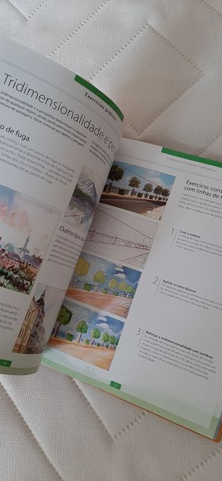 Livro manual Pintura com aquarela
