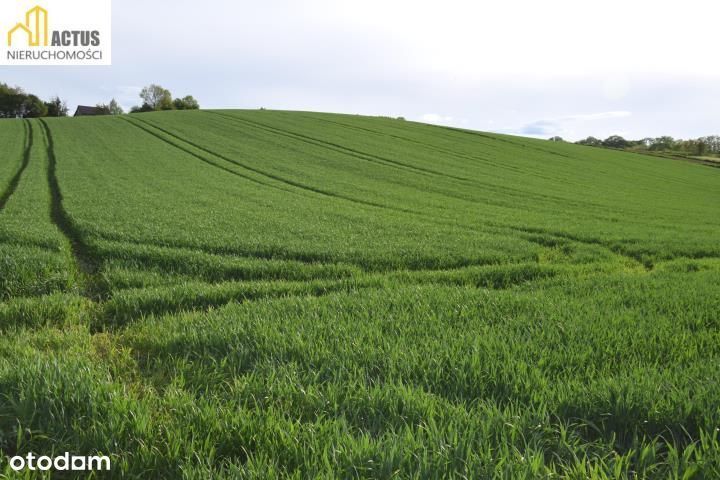 Nieruchomość 1,32 ha Stręgoborzyce