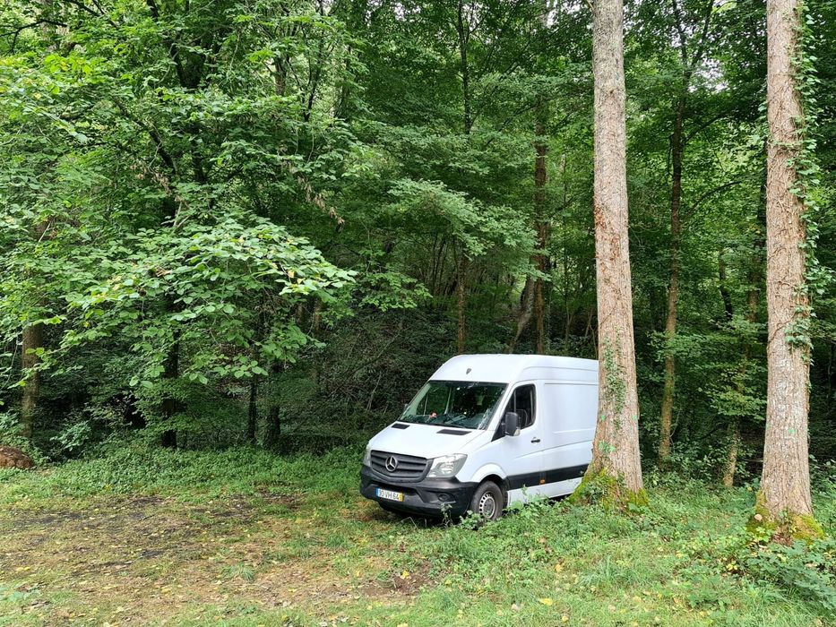 Mercedes Sprintervan
