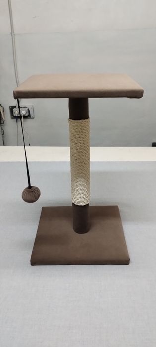 Когтеточка в разных цветах