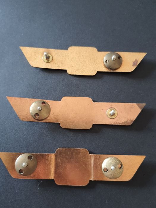 Odznaki specjalności wojskowych DDR NVA