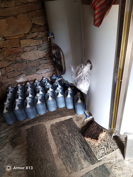 Vendo azeite de Sanceriz Bragança Portugal