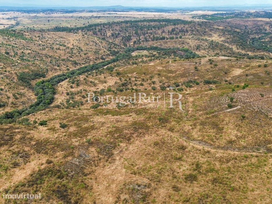 Propriedade agroflorestal com 39 hectares em Idanha-a-Nova