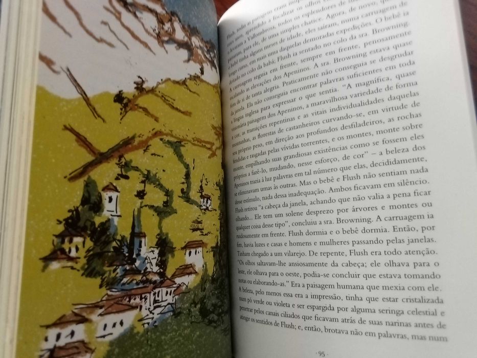 Virginia Woolf - Flush, uma biografia