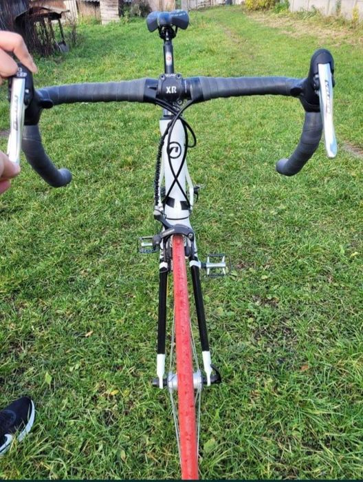Rower szosowy, accent apex, compagnolo podzespoły