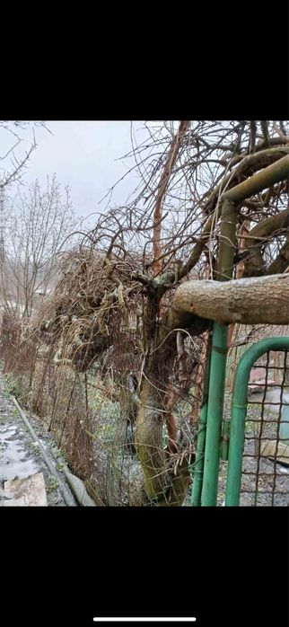 Продам дачу в городе. Космос