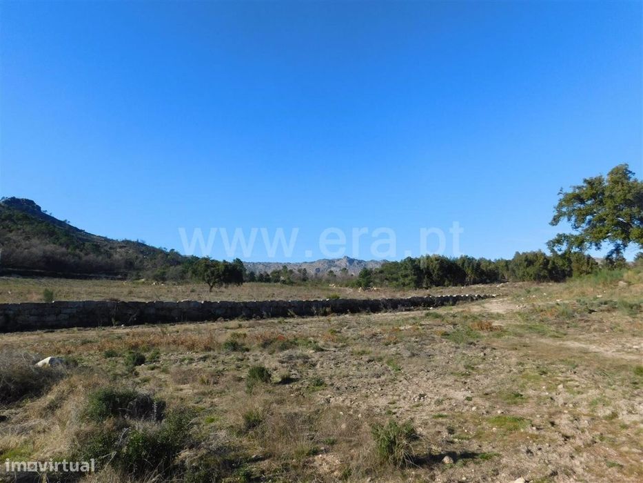 Terreno / Fundão, Castelo Novo