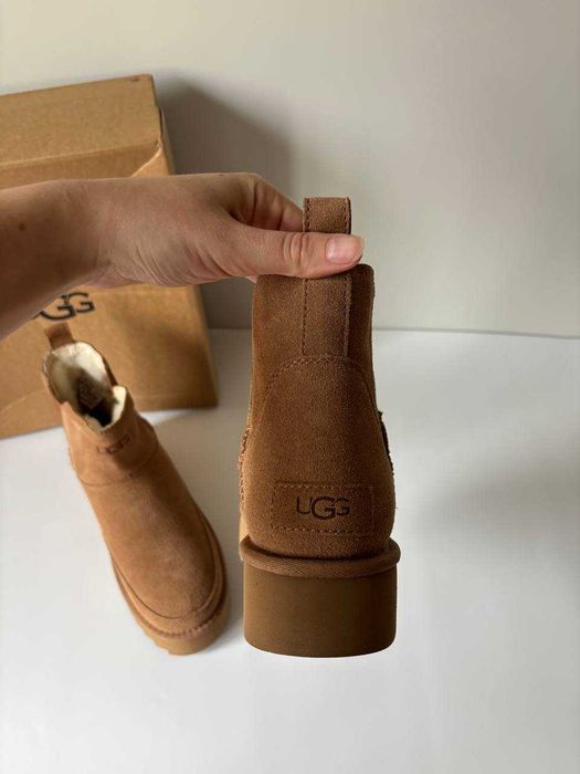 Зимове взуття уггі UGG