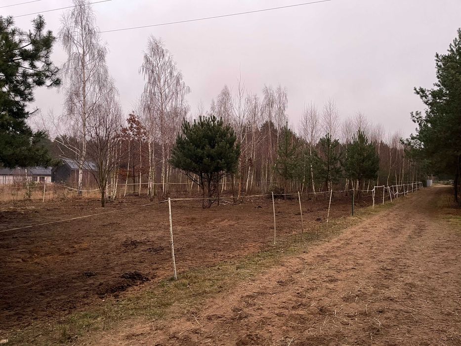 Dębinki (koło Serocka) działka budowlana 3007m2.