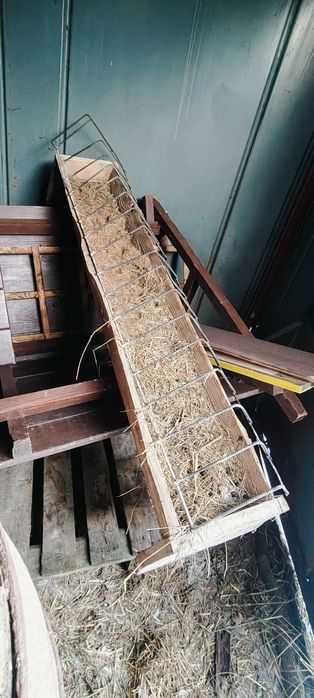 Gniazdo dla kur 22 przegrody