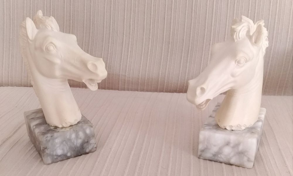 2 cabeças cavalo