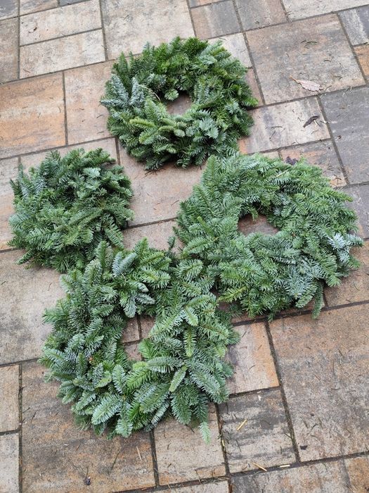 Zestaw wianków nobilis