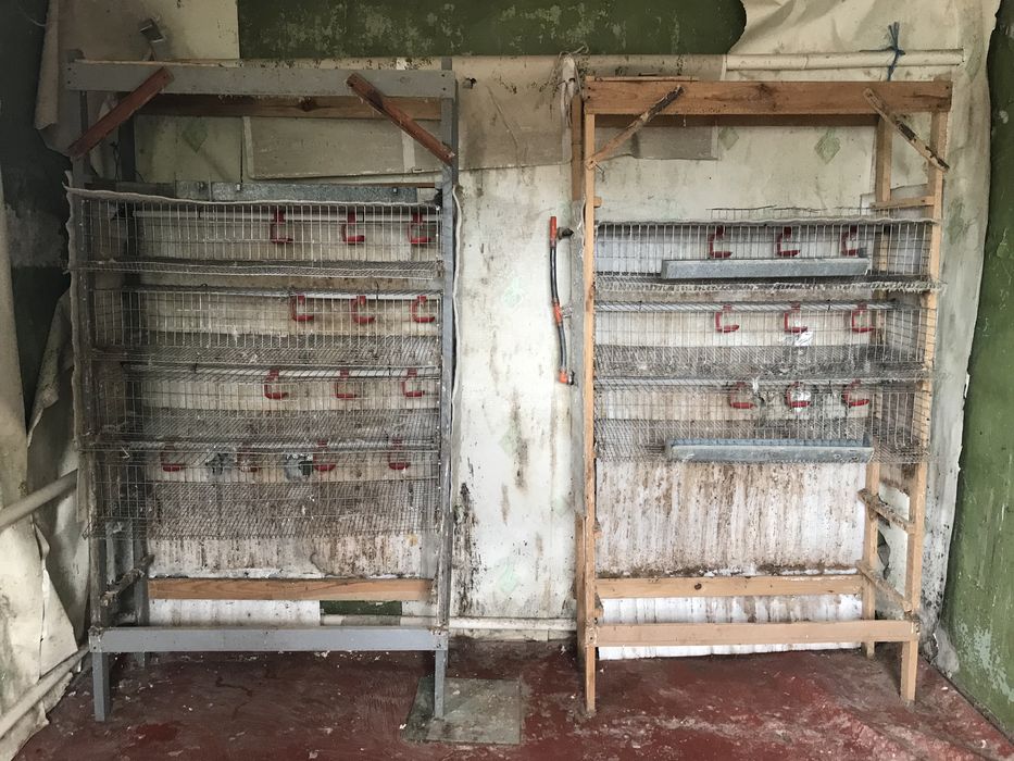 Клетки для перепелов