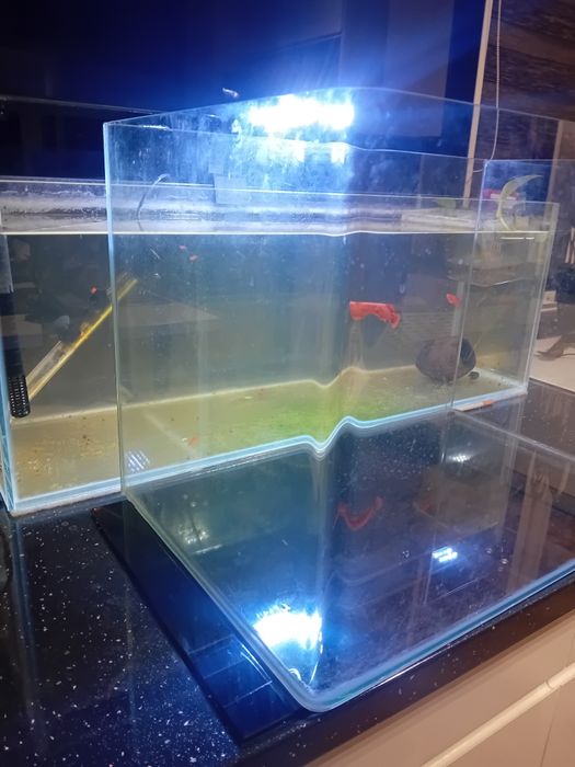 Akwarium  premium nowe 55-60L