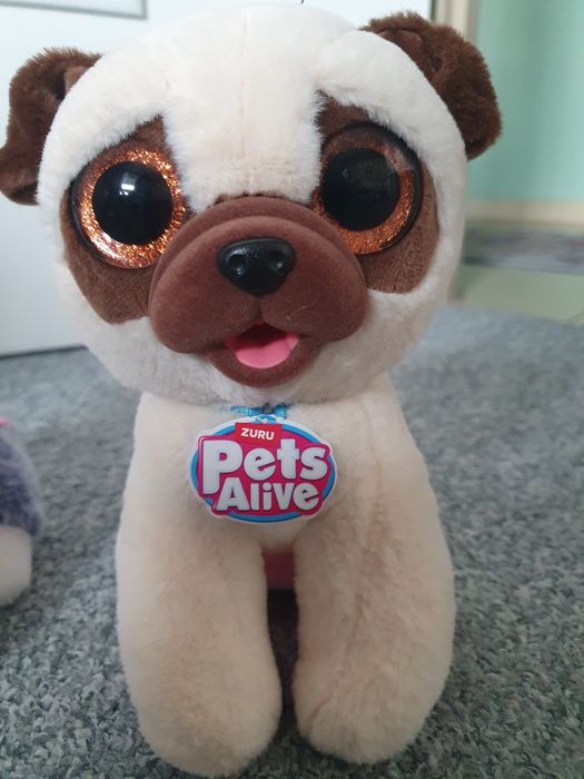 Pieski pets alive