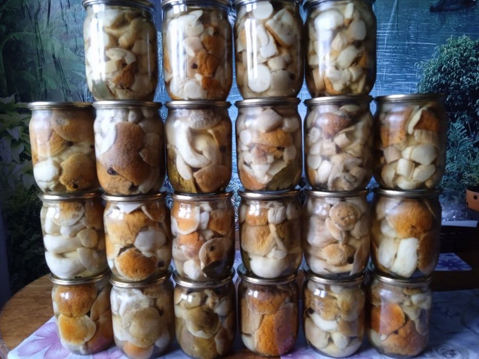 Мариновані білі грибочки