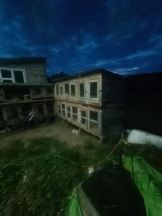 Продаж клітки для кроликів