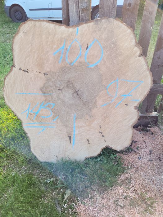 Срез дерева Спил дерева Пано