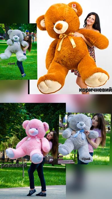 Ведмеді до 14 лютого 8 березня або на інші свята