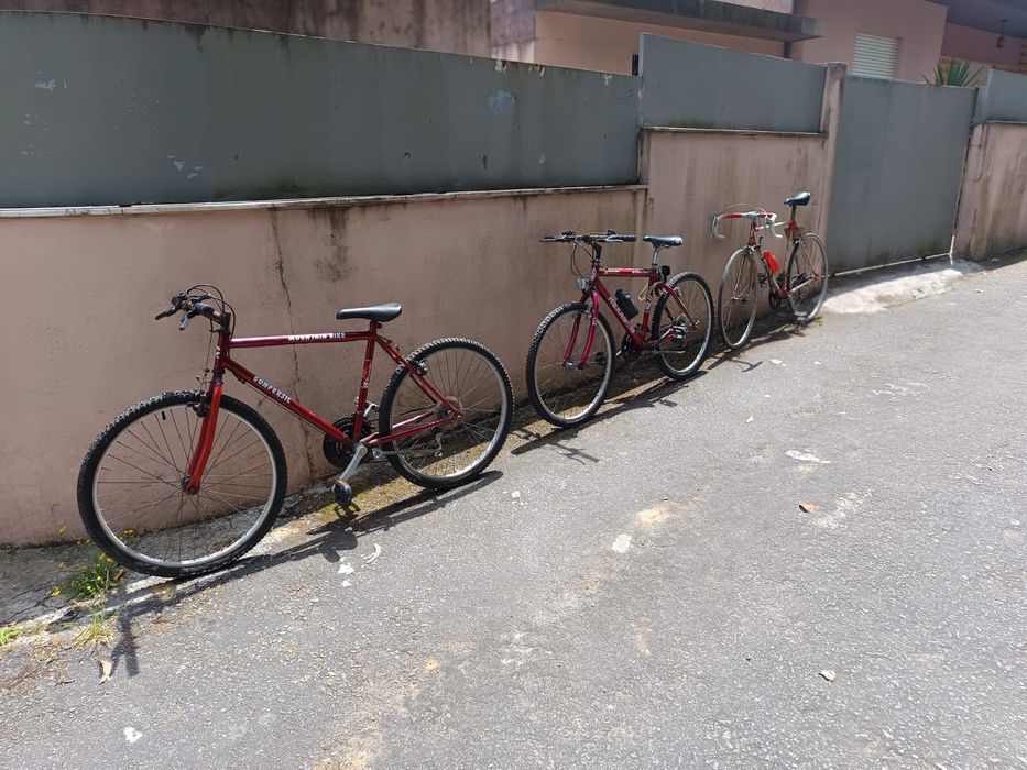 Bicicletas para desocupar