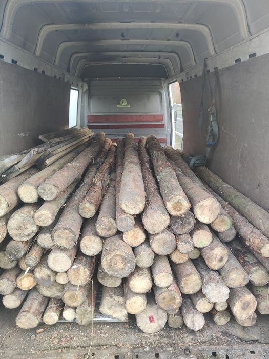 Słupki sosnowe, żerdzie