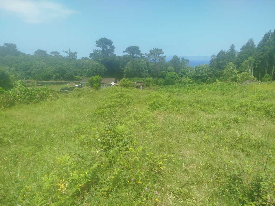 Terreno Pinheira - Rua da Bragada - Santo António